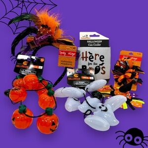 Halloween cuteness in a box! Headband Barrettes Light-Up Necklaces Koozie NEW